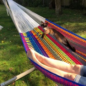 Meet your Posher, Landy